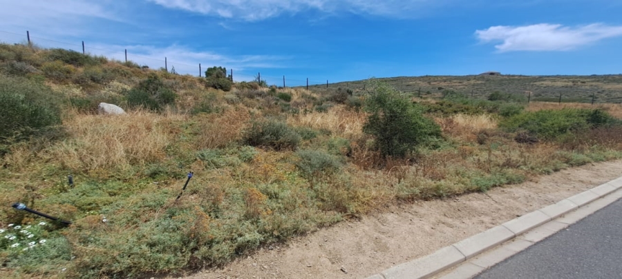 0 Bedroom Property for Sale in St Helena Views Western Cape